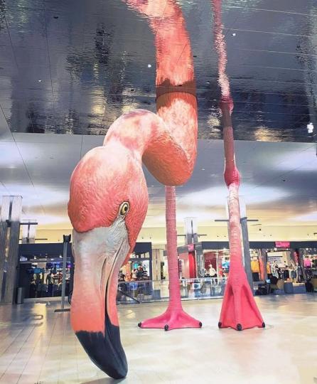 機場中央出現一隻巨大紅鶴雕塑...