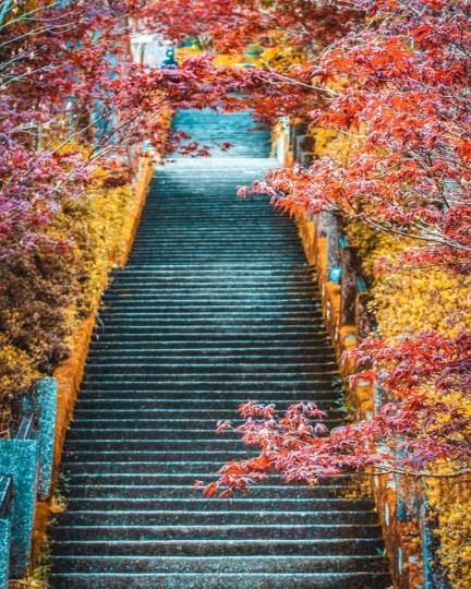 台灣就有充滿濃濃日本風情的楓紅步道唷？...