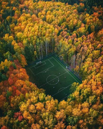 樹林中的足球場你看過嗎？...
