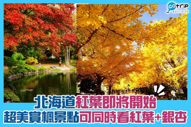 北海道紅葉名所中島公園 同時賞楓及銀杏...