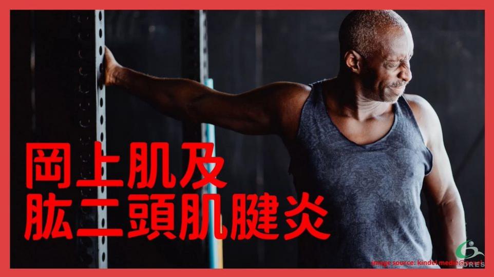 肩痛之岡上肌及肱二頭肌腱炎Supraspinatus & biceps tendinitis【傷患痛症系列】...