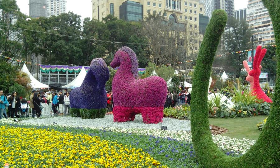 2016年香港花展很有特色...