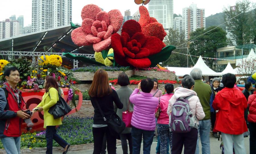 再看2017香港花卉展览同样咁吸引观赏者...