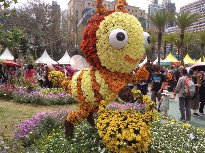 2018香港花展之用鲜花砌成的小蜜蜂多趣致...