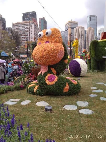这是2018香港花卉展览之又一场景你们猜想一下應是什么動物呢?...