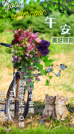 各位朋友午安,
載滿花兒的
自行車送上
祝福平安！...