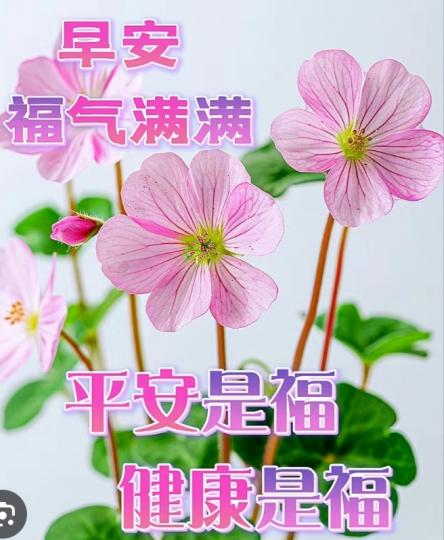 健康，平安
         福氣滿滿！...