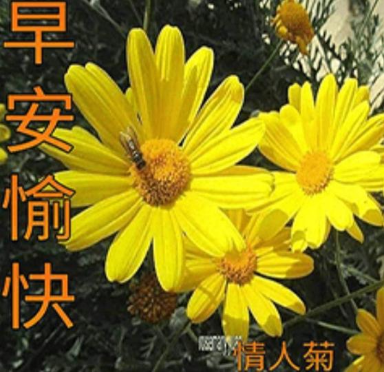放鬆 ，自在
         迎未來！...