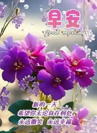 健康， 美好
         微笑迎清早！...