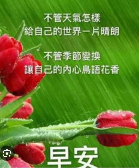 無論晴雨，
    依舊保持愉快心境！...