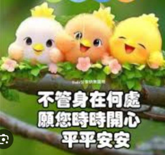 開開心心，
  平平安安！...