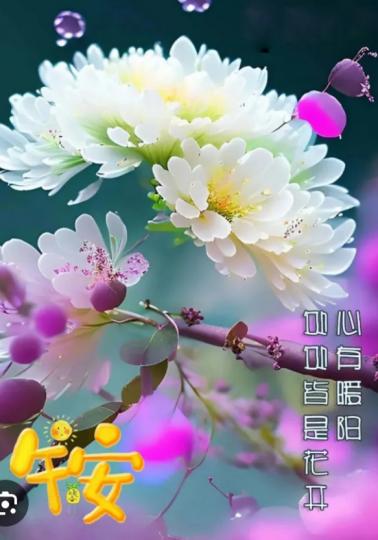 花開燦爛，
     心情愉快！...