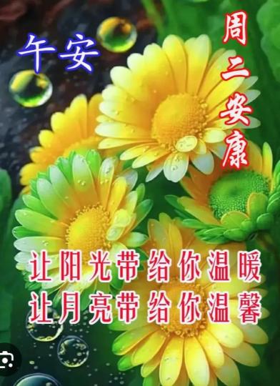 周二午安，
        陽光下，花兒開！...