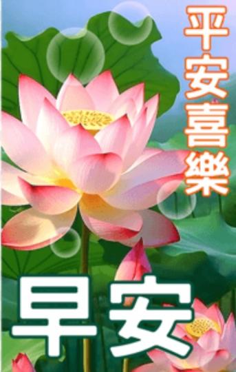 平安喜樂，
      朋友早安！...