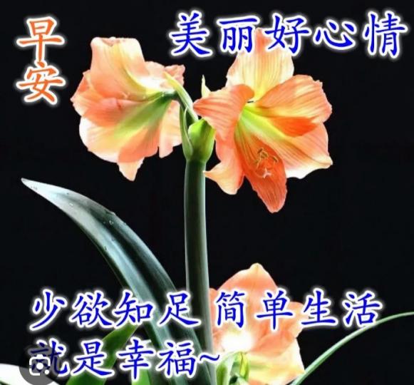 簡單，知足，
         幸福，美好！...