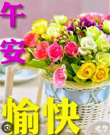 午安
                       愉快！...