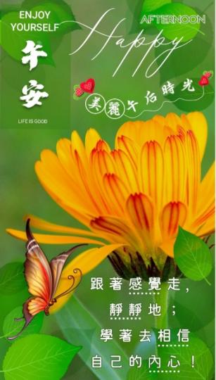 美好午
        後時光！...