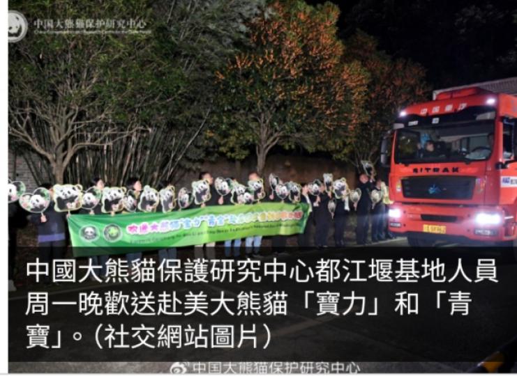 大熊貓寶力和青寶赴美　將於華盛頓國家動物園展開十年旅居生活...