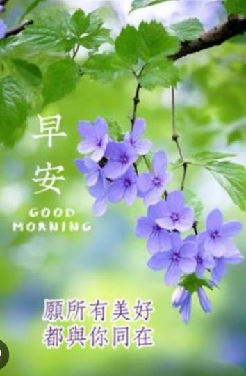 幸運
           美好
祝君早！...