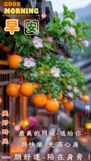 好運
            相陪！...