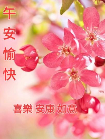 喜樂
                      安康！...