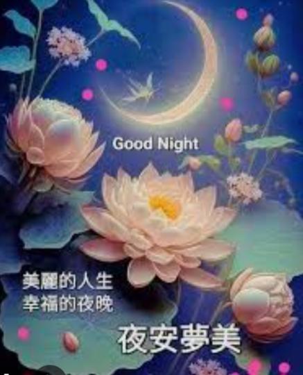 幸福
                      夜晚！...