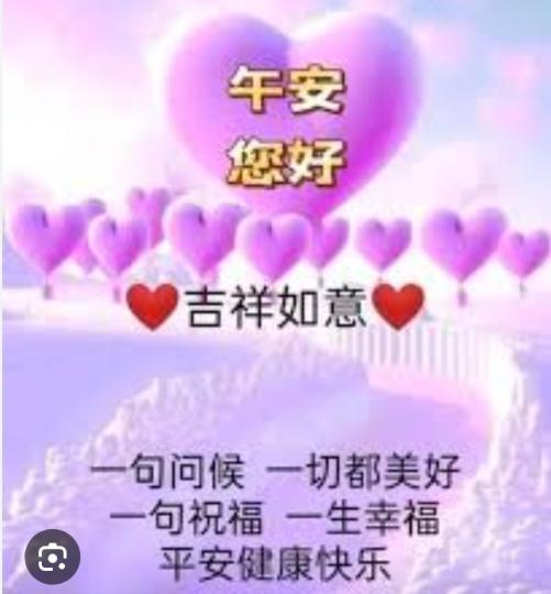 午安
                     愉快！...