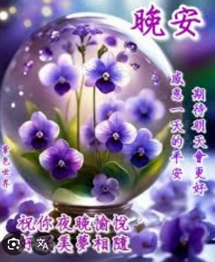 期待
            明天更好！...