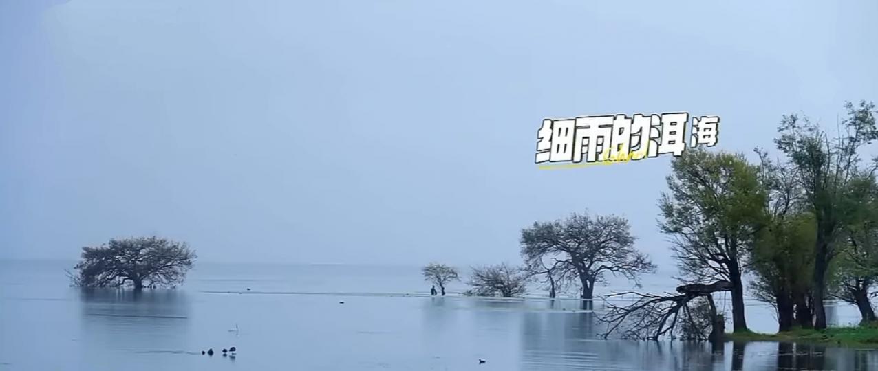 煙雨
                   濛濛！...