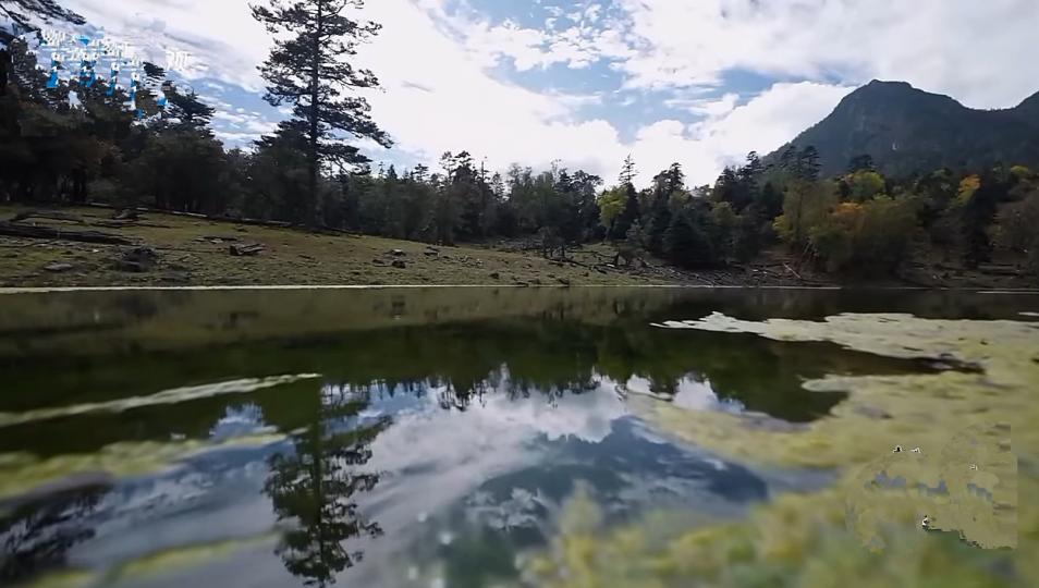 森林
            里的湖泊！...