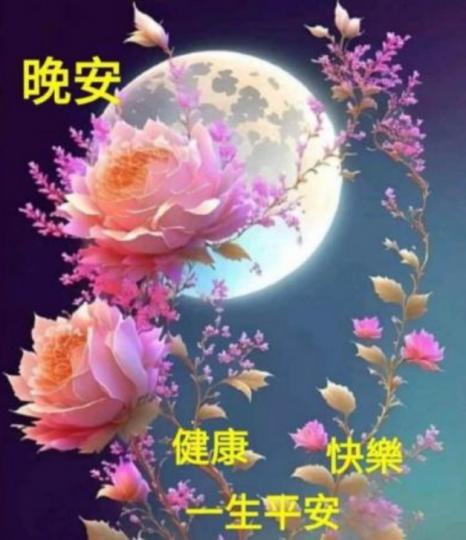 朋友
                  晚安！...