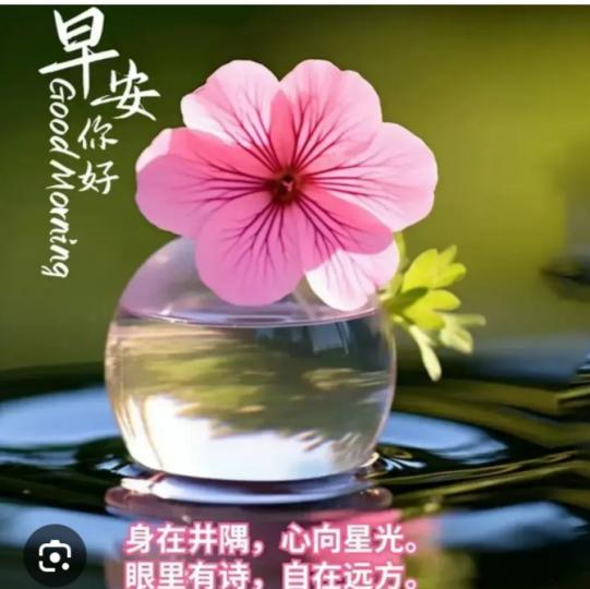 幸福
                     安康！...