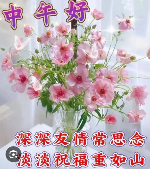 美好
              陽光！...