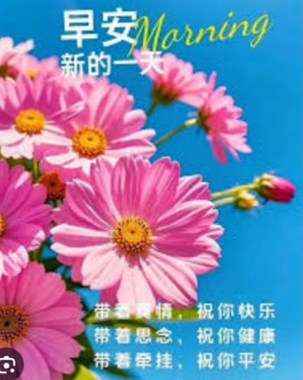 平安,
                健康,
                快樂！...