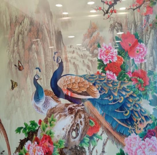 漂亮的
                 圖畫！...