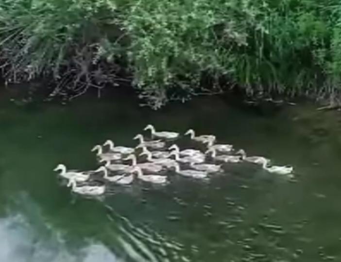 湖上
                暢游！...