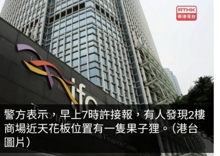 中環國金二期商場發現果子狸　漁護署人員到場捕捉...