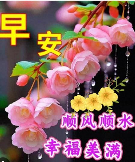 幸福
                    美滿！...