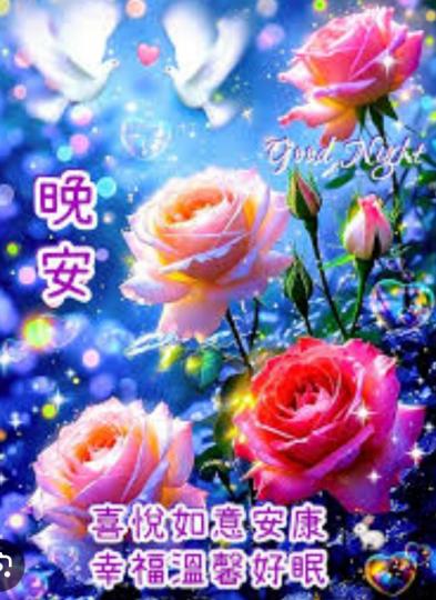 朋友
                     晚安！...