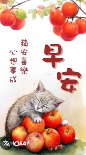 平安
                      喜樂！...