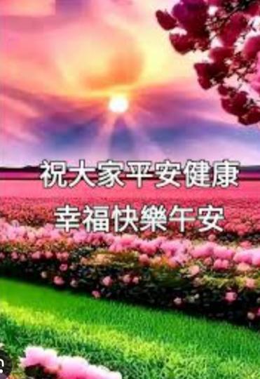 午安
                    愉快！...