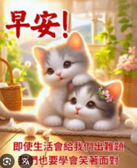 平安
                美好！...