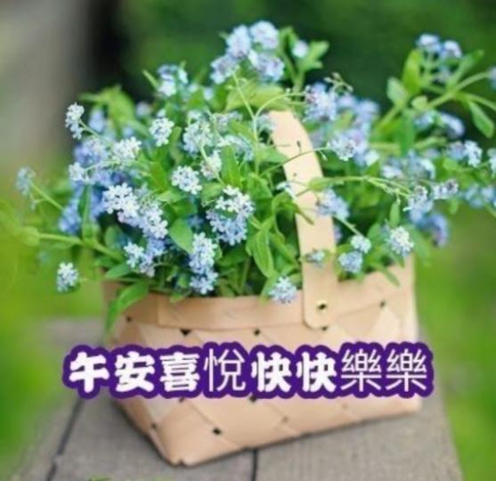午安
                  快樂！...