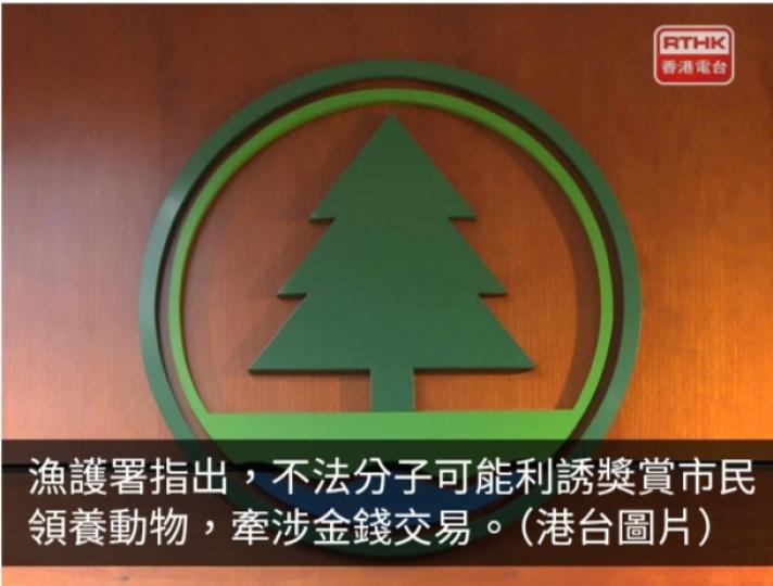 漁護署指網購寵物或涉釣魚詐騙　部分情況與其他網騙相似...