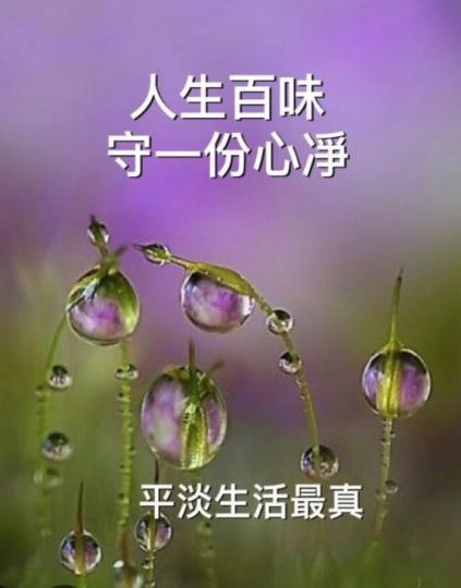 平淡
                 清心！...