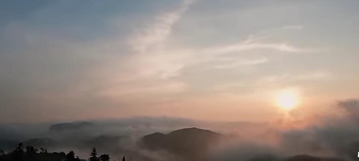 清晨
                  陽光！...