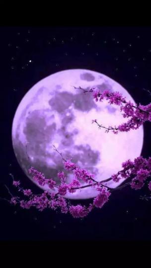 老友記晚安,月亮星星晚安。...