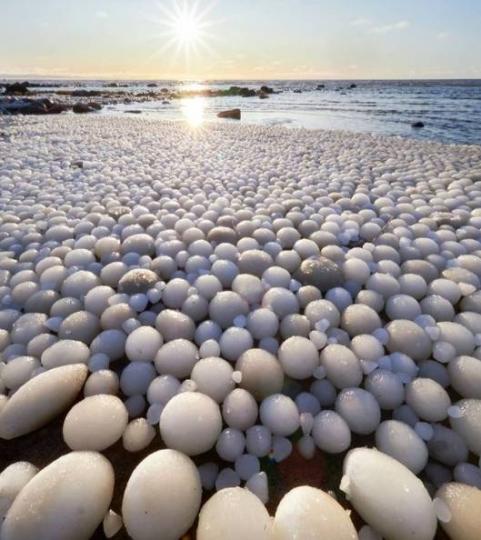 芬蘭海盧奧托島的海灘
每到冬季就會出現一種
"冰蛋"奇景，一顆一顆
形狀如蛋的冰球布滿海
灘。...
