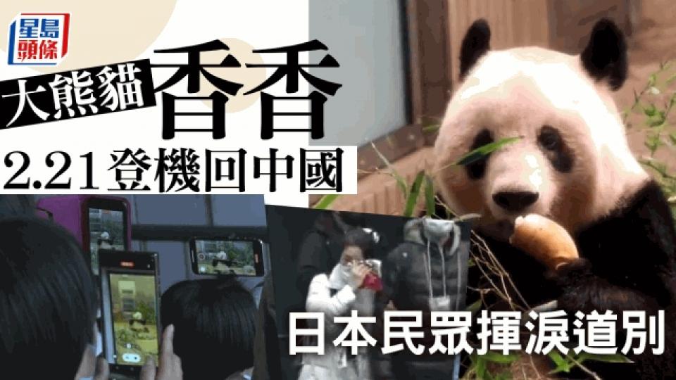 news_panda