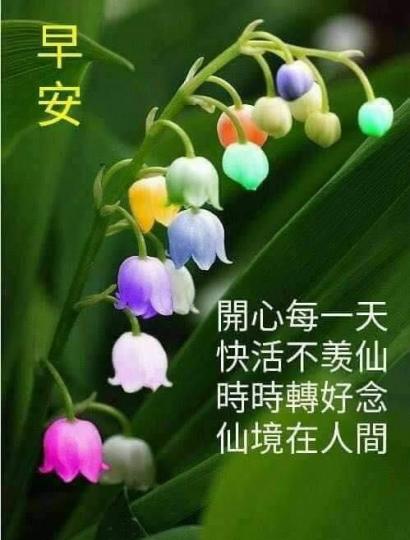 mmexport1744505721726